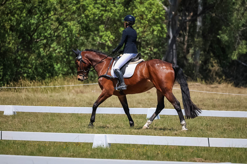 tEG 3DE 2025 Friday Dressage -1791.jpg