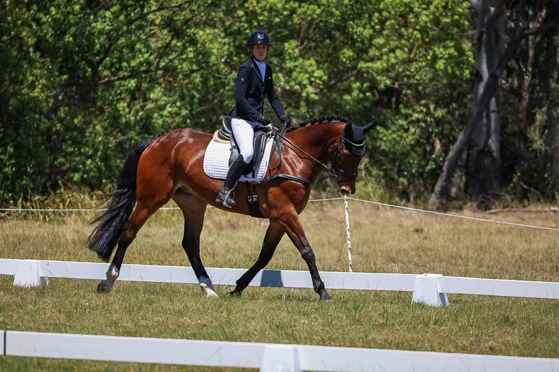 tEG 3DE 2025 Friday Dressage -1793.jpg