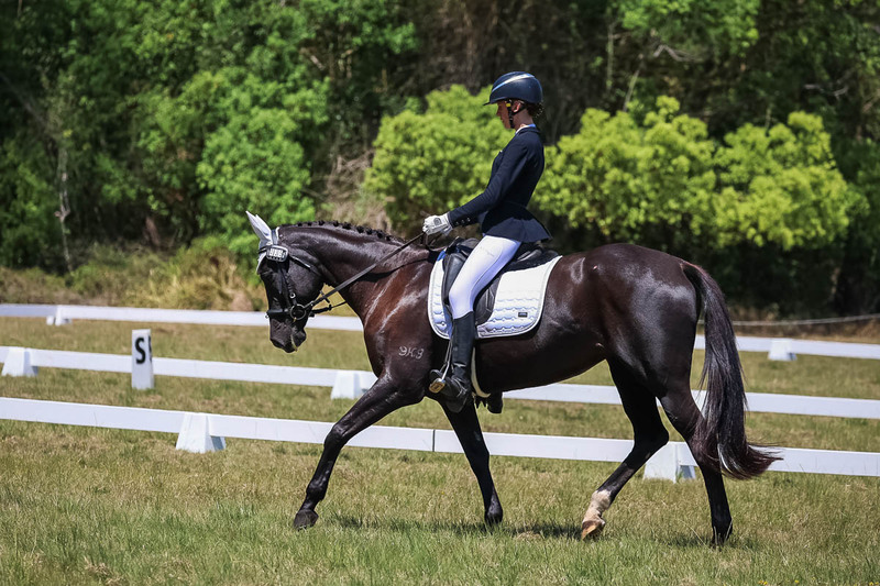 tEG 3DE 2025 Friday Dressage -1794.jpg