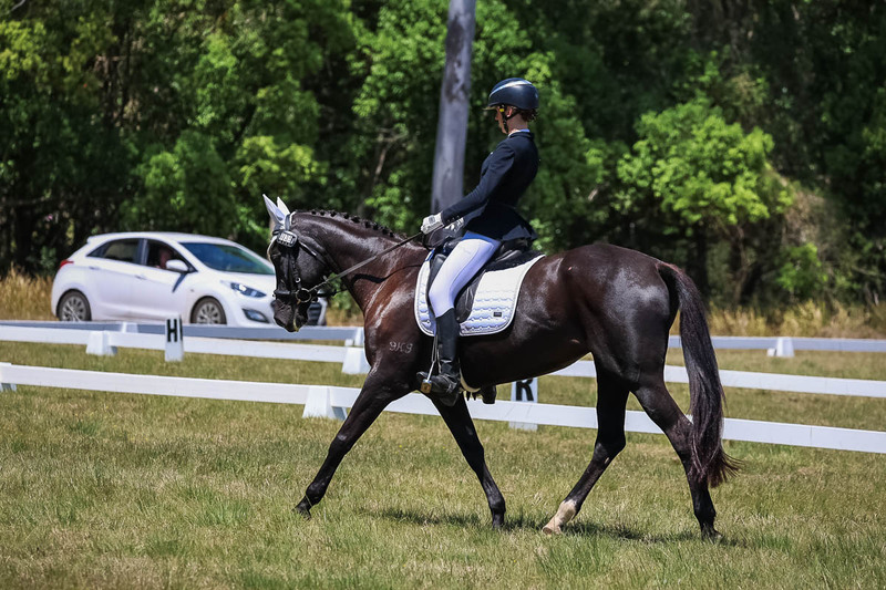 tEG 3DE 2025 Friday Dressage -1795.jpg