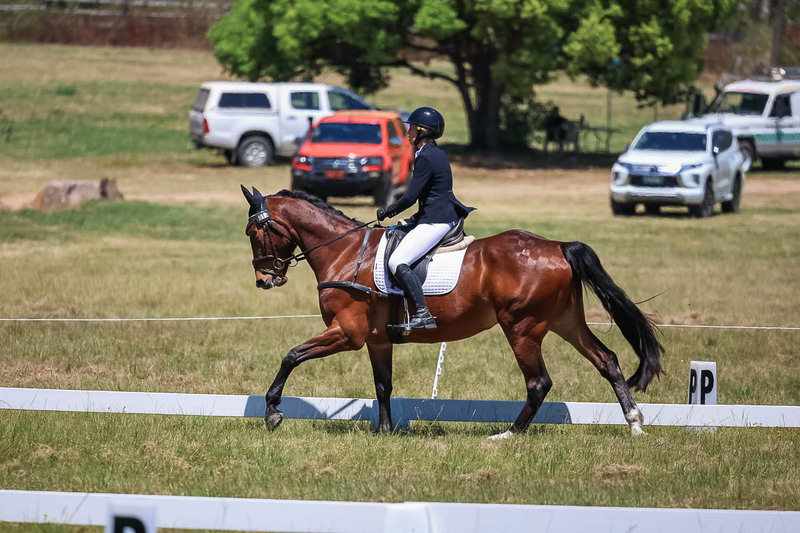 tEG 3DE 2025 Friday Dressage -1797.jpg