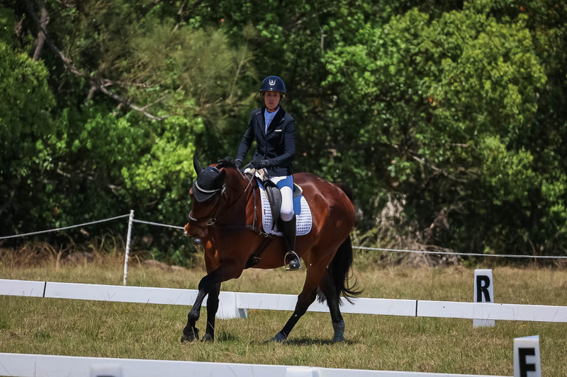 tEG 3DE 2025 Friday Dressage -1799.jpg