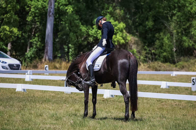 tEG 3DE 2025 Friday Dressage -1801.jpg