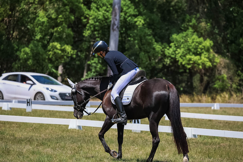 tEG 3DE 2025 Friday Dressage -1802.jpg