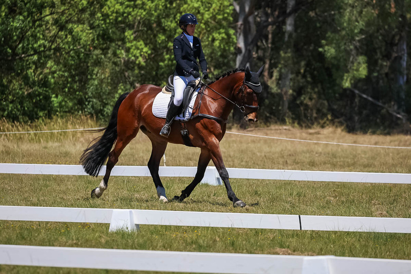 tEG 3DE 2025 Friday Dressage -1806.jpg