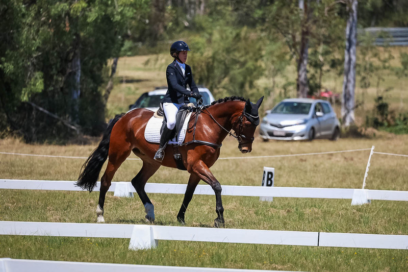 tEG 3DE 2025 Friday Dressage -1807.jpg