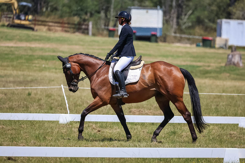tEG 3DE 2025 Friday Dressage -1810.jpg