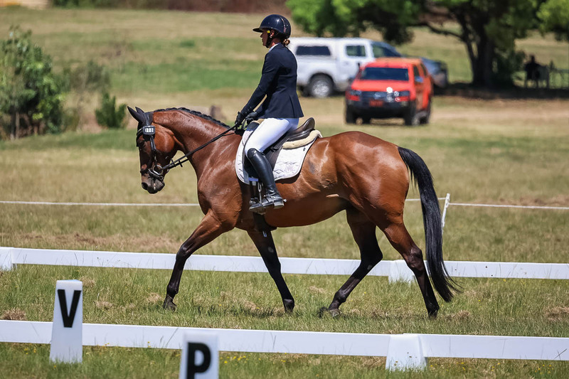 tEG 3DE 2025 Friday Dressage -1811.jpg