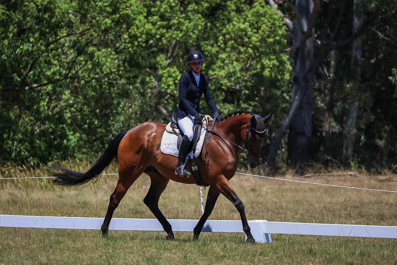 tEG 3DE 2025 Friday Dressage -1813.jpg
