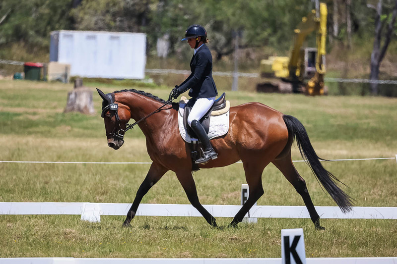 tEG 3DE 2025 Friday Dressage -1815.jpg