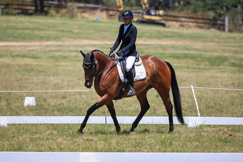 tEG 3DE 2025 Friday Dressage -1816.jpg