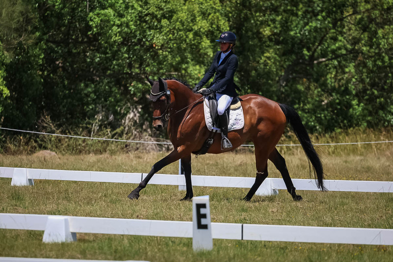 tEG 3DE 2025 Friday Dressage -1817.jpg