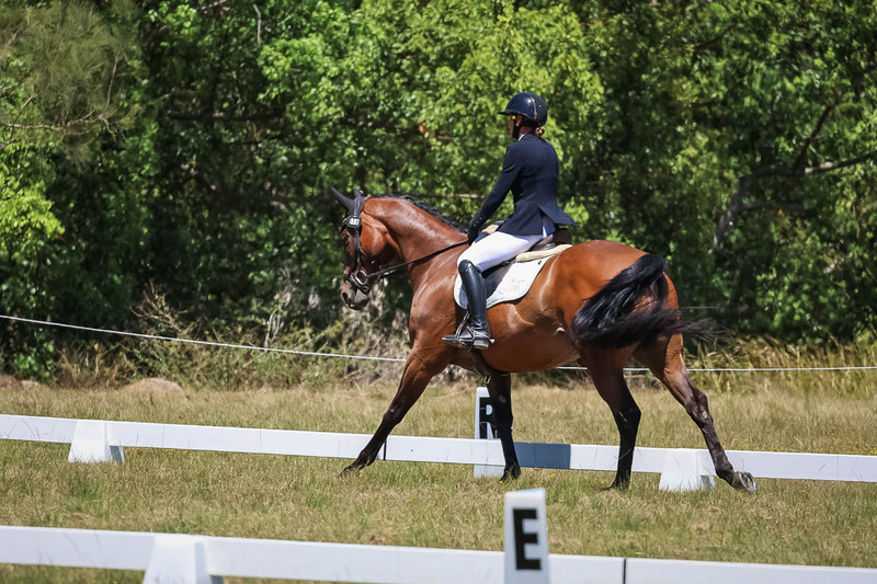 tEG 3DE 2025 Friday Dressage -1820.jpg