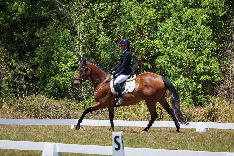 tEG 3DE 2025 Friday Dressage -1822.jpg