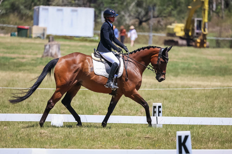 tEG 3DE 2025 Friday Dressage -1823.jpg