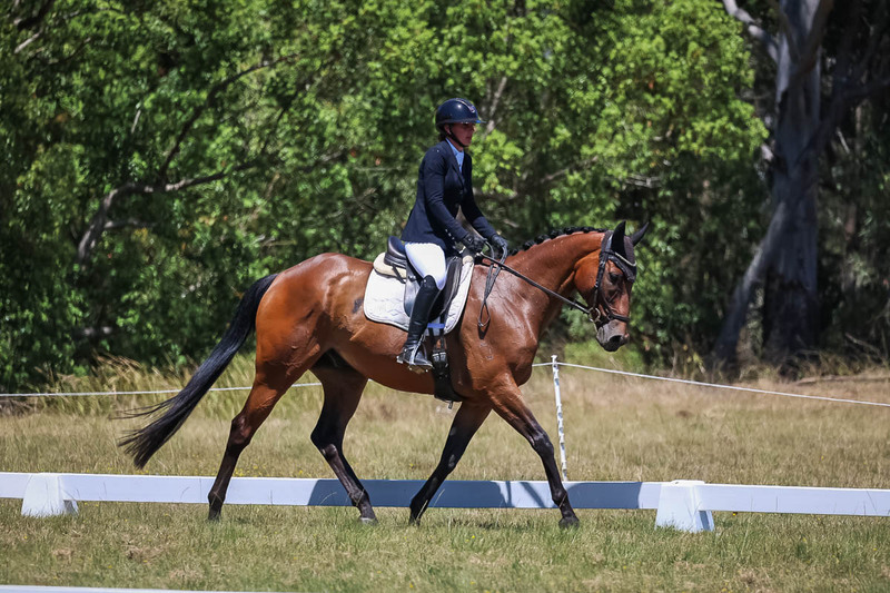 tEG 3DE 2025 Friday Dressage -1826.jpg