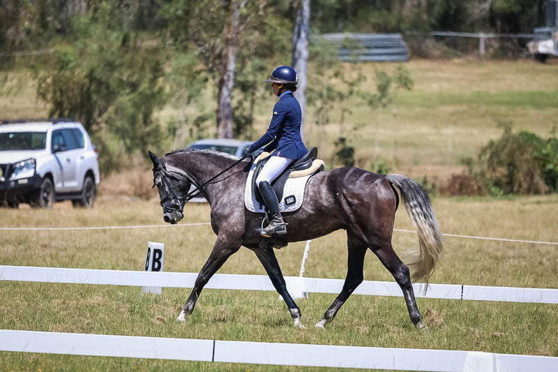 tEG 3DE 2025 Friday Dressage -1831.jpg