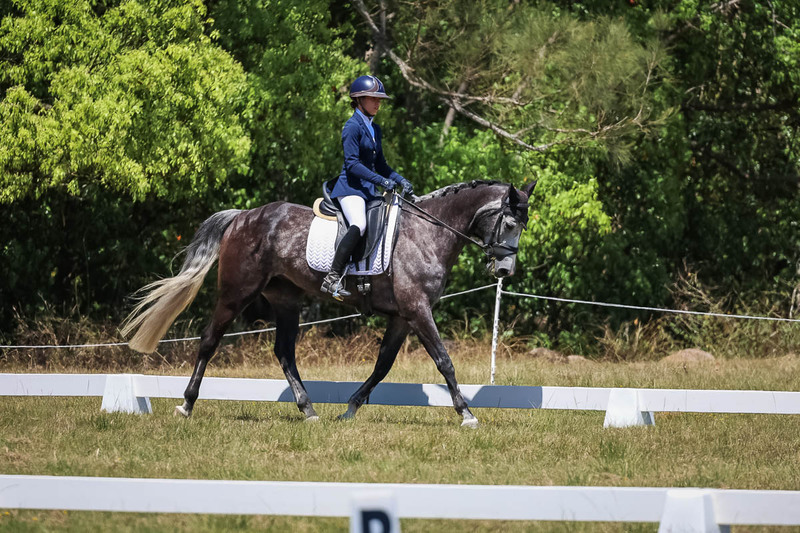 tEG 3DE 2025 Friday Dressage -1834.jpg