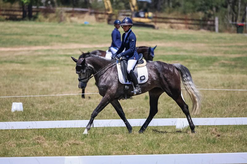 tEG 3DE 2025 Friday Dressage -1836.jpg