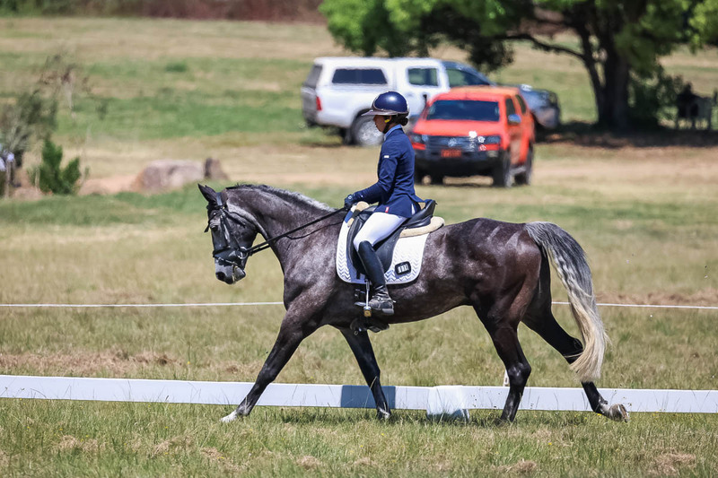 tEG 3DE 2025 Friday Dressage -1839.jpg