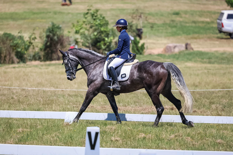 tEG 3DE 2025 Friday Dressage -1840.jpg