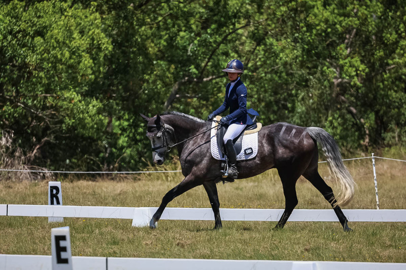 tEG 3DE 2025 Friday Dressage -1841.jpg