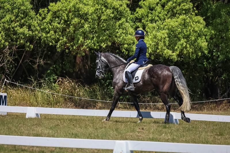 tEG 3DE 2025 Friday Dressage -1845.jpg