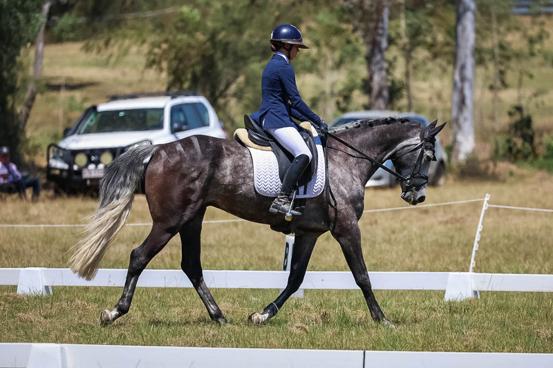 tEG 3DE 2025 Friday Dressage -1846.jpg