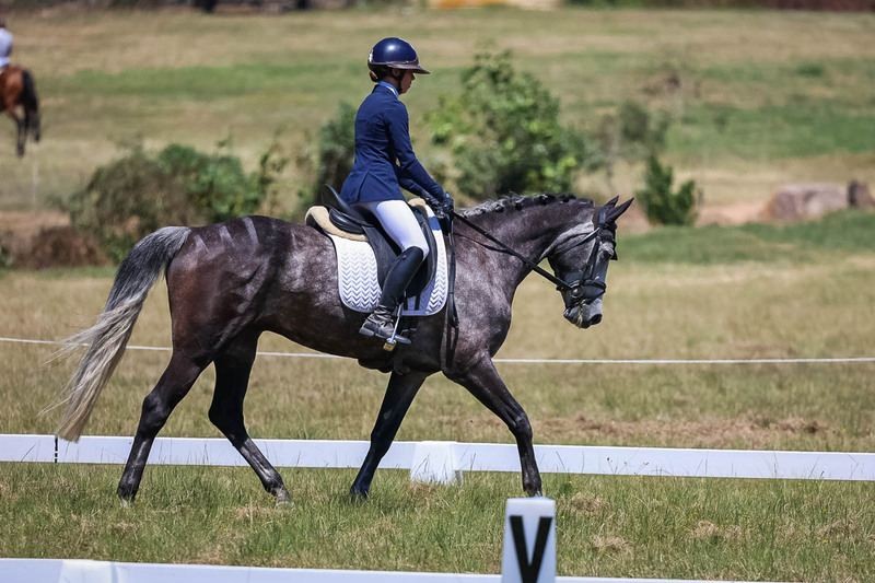 tEG 3DE 2025 Friday Dressage -1847.jpg