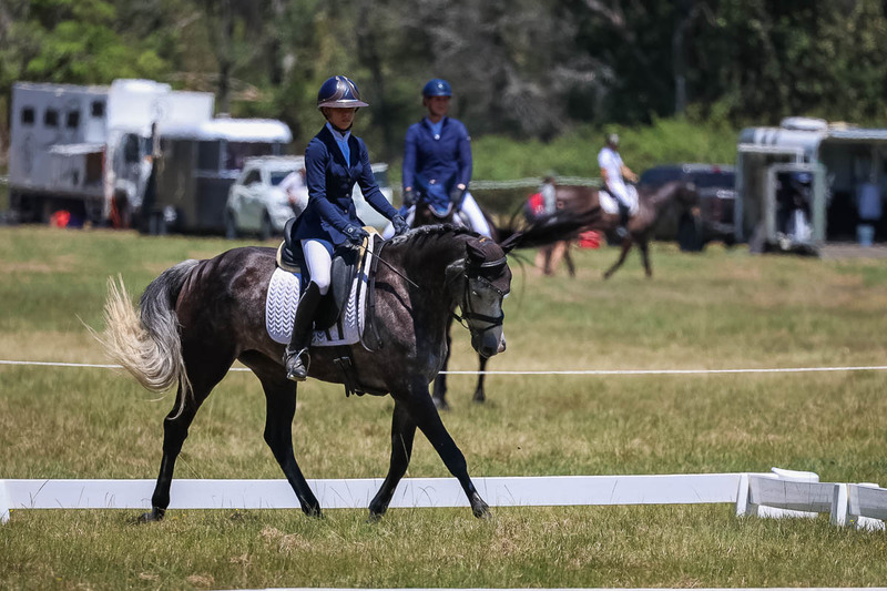 tEG 3DE 2025 Friday Dressage -1848.jpg
