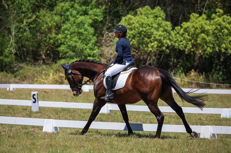 tEG 3DE 2025 Friday Dressage -1853.jpg