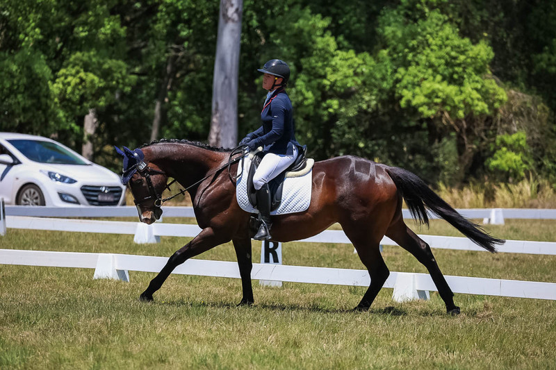 tEG 3DE 2025 Friday Dressage -1855.jpg