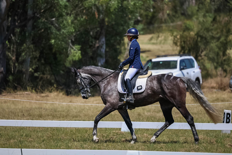 tEG 3DE 2025 Friday Dressage -1858.jpg