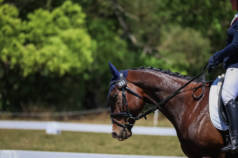 tEG 3DE 2025 Friday Dressage -1862.jpg