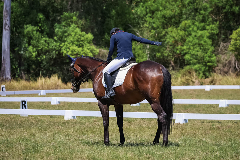 tEG 3DE 2025 Friday Dressage -1864.jpg
