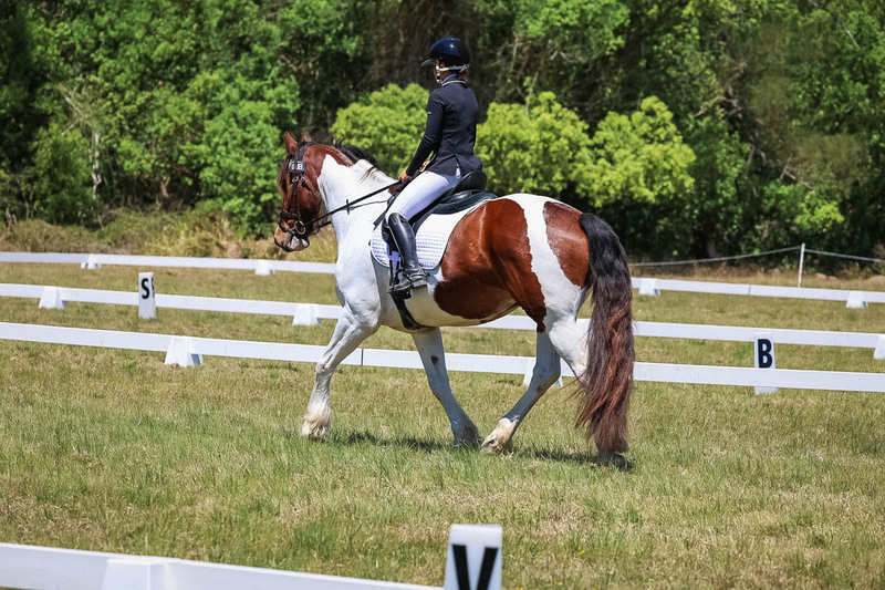 tEG 3DE 2025 Friday Dressage -1866.jpg