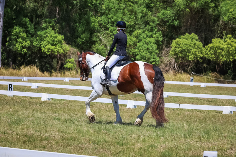 tEG 3DE 2025 Friday Dressage -1867.jpg