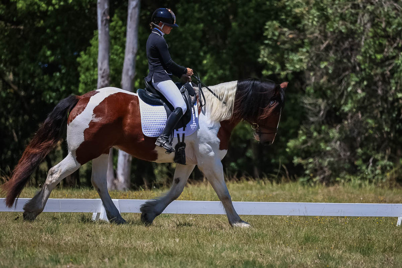 tEG 3DE 2025 Friday Dressage -1868.jpg