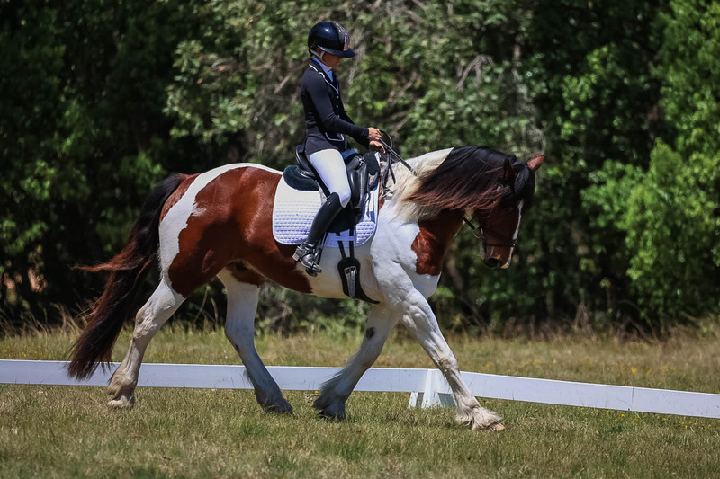 tEG 3DE 2025 Friday Dressage -1869.jpg