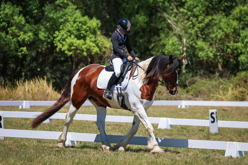 tEG 3DE 2025 Friday Dressage -1870.jpg