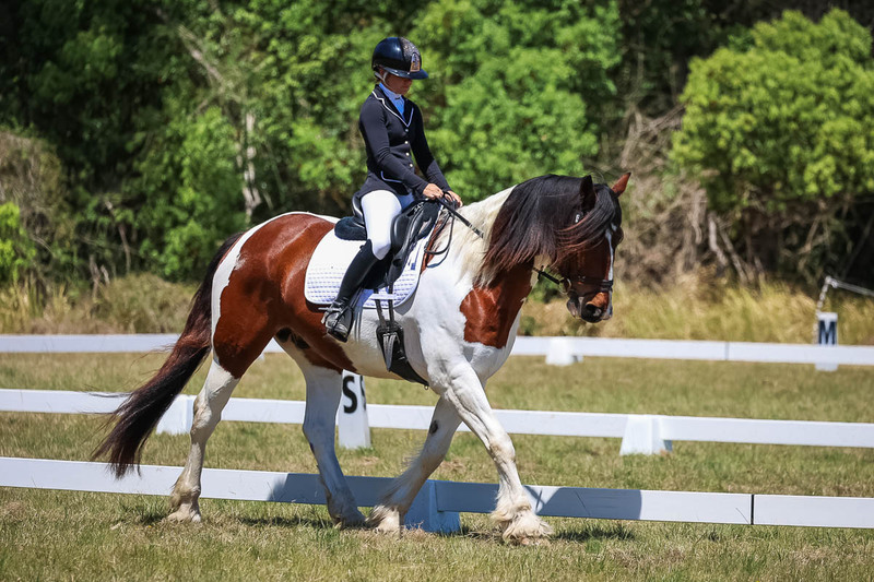tEG 3DE 2025 Friday Dressage -1871.jpg