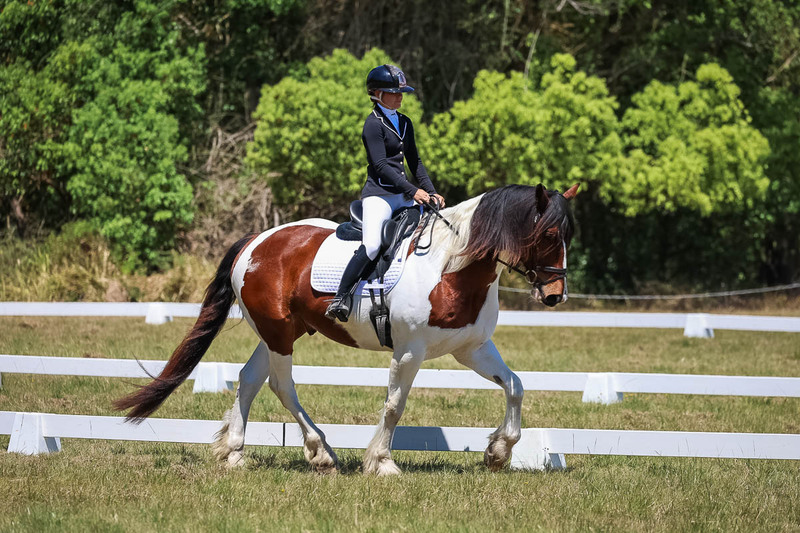 tEG 3DE 2025 Friday Dressage -1872.jpg