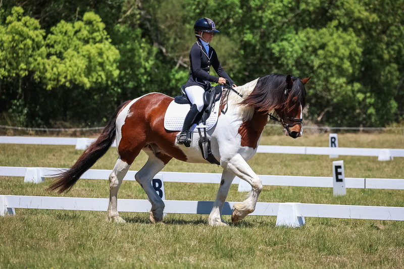 tEG 3DE 2025 Friday Dressage -1873.jpg