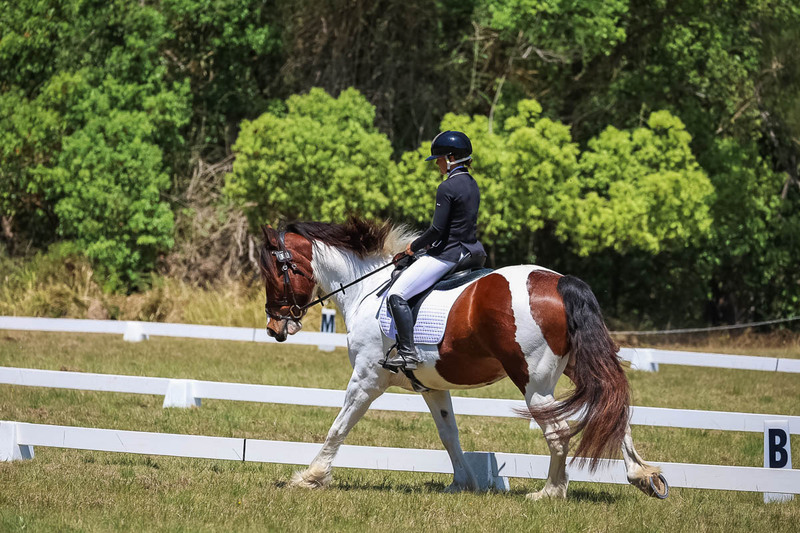 tEG 3DE 2025 Friday Dressage -1876.jpg