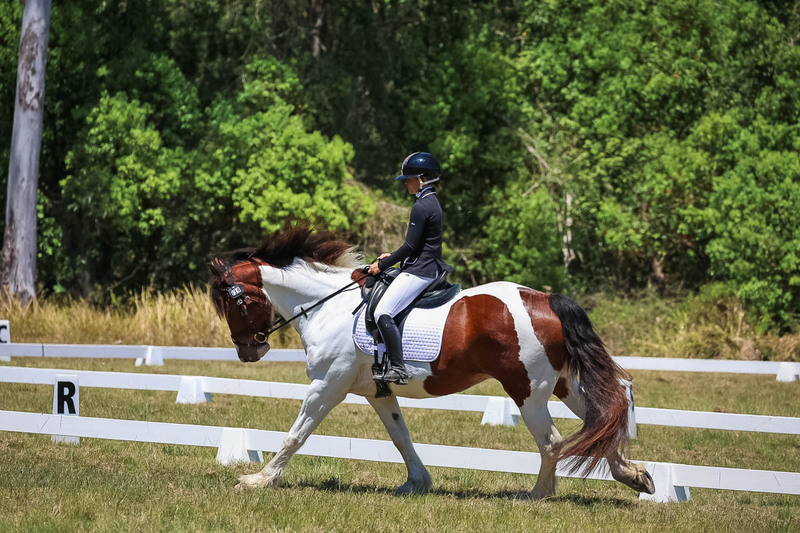 tEG 3DE 2025 Friday Dressage -1877.jpg
