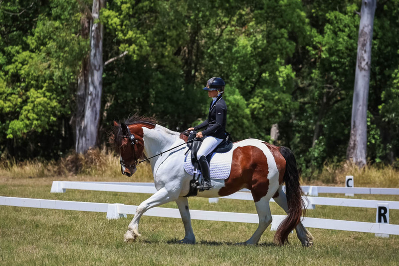 tEG 3DE 2025 Friday Dressage -1879.jpg