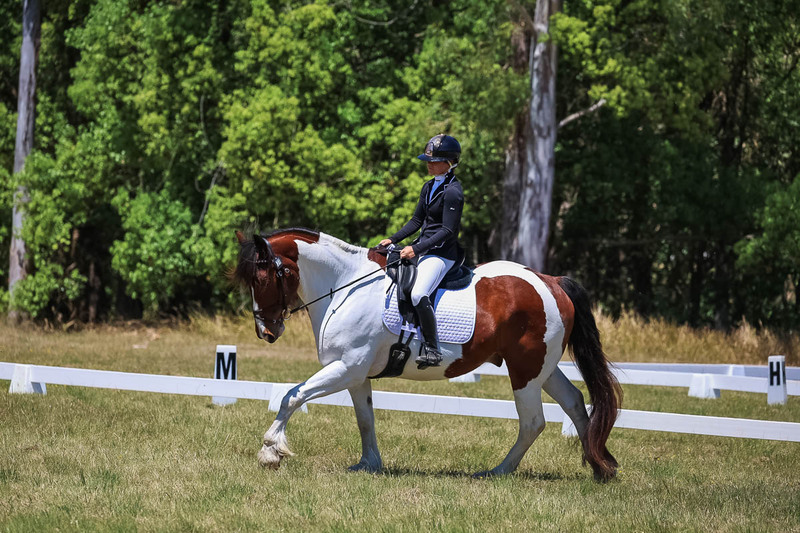 tEG 3DE 2025 Friday Dressage -1880.jpg