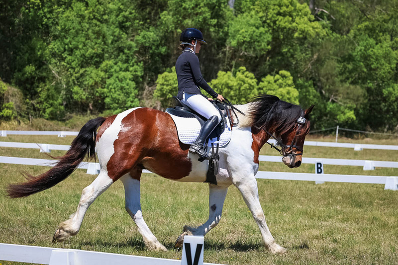 tEG 3DE 2025 Friday Dressage -1882.jpg