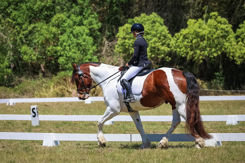 tEG 3DE 2025 Friday Dressage -1884.jpg