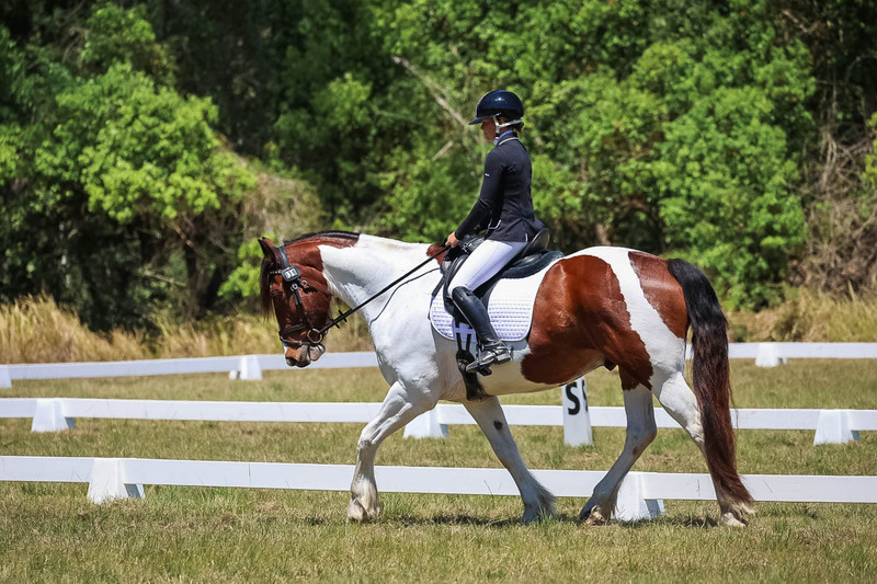 tEG 3DE 2025 Friday Dressage -1885.jpg